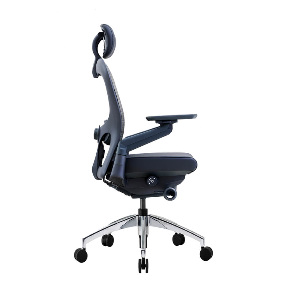 เก้าอี้เพื่อสุขภาพ DF PROCHAIR รุ่น Wonder-H สีดำ
